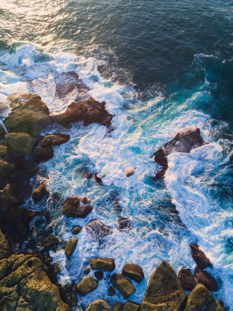 istock North Bondi Rocks Aerial 679702338