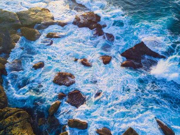 istock North Bondi Rocks morning 679702340