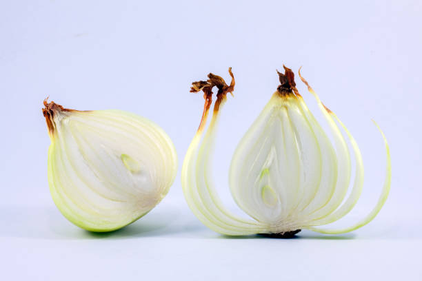 istock Fresh onion bulbs isolated on white background 679710638