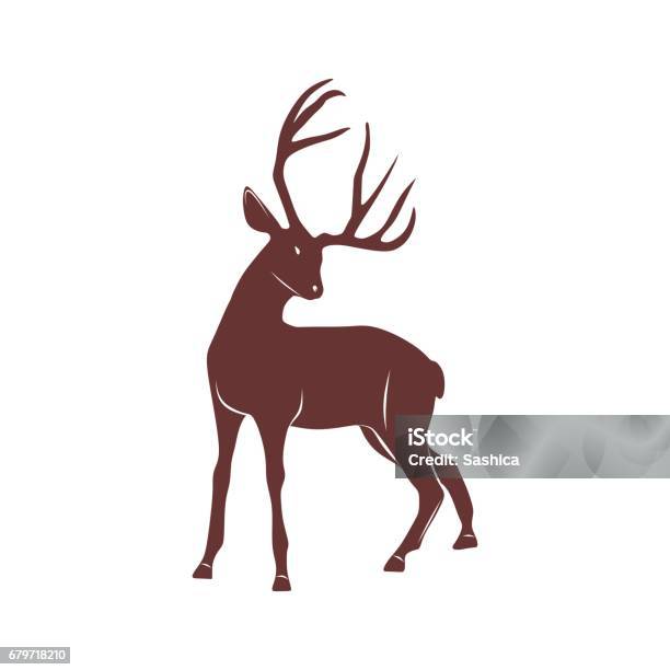 Line Art Rusa Vector Rusa Ilustrasi Stok - Unduh Gambar Sekarang - Rusa, Alam, Desain ...