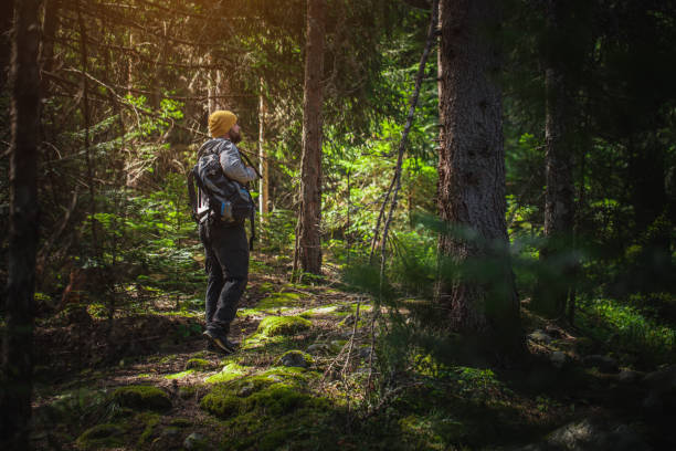 istock Traveler with backpack travel walks through the forest 679719116