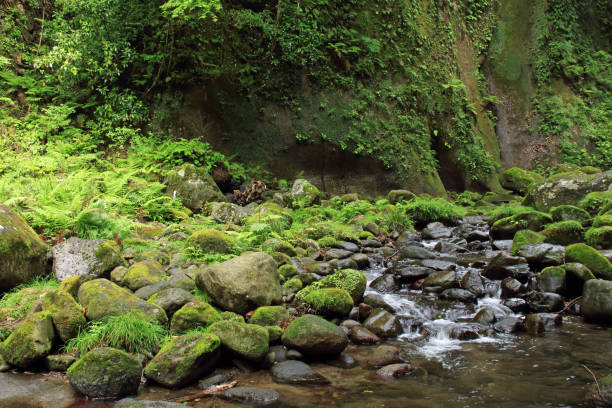 istock Yufukawa River、Yufugawa canyon 679737748