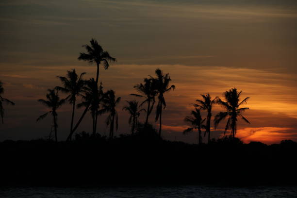 People enjoy watching the beautiful sunset at Jambiani Beach, which is situated on the southeast coast of Zanzibar island. Zanzibar is a semi-autonomous part of Tanzania in East Africa. The Indian Ocean has clear water and the beach has a beautiful scenery, with a tropical vegetation and evergreen coconut palm trees.