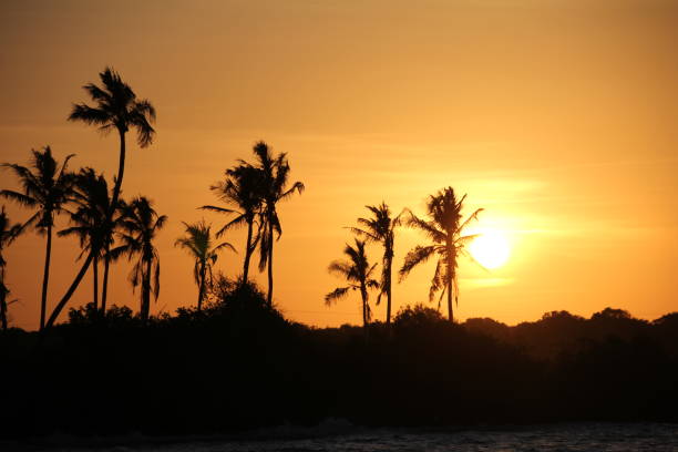 Beach Sunset