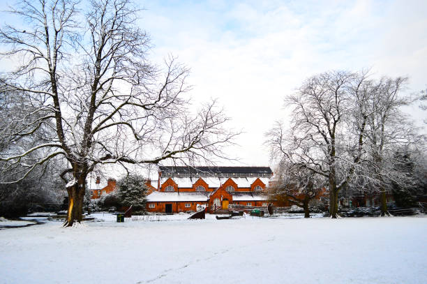 istock Snowing in the Public Park 679758284