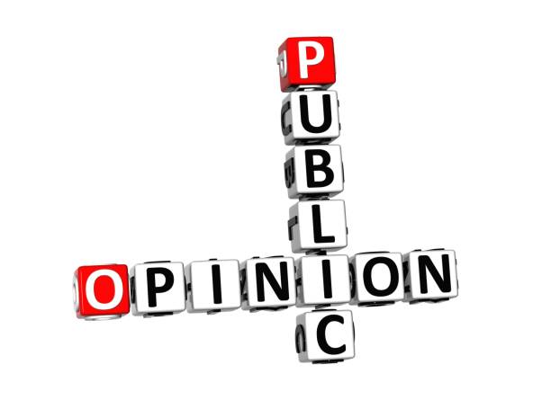 istock 3D Crossword Public Opinion on white background 679763032