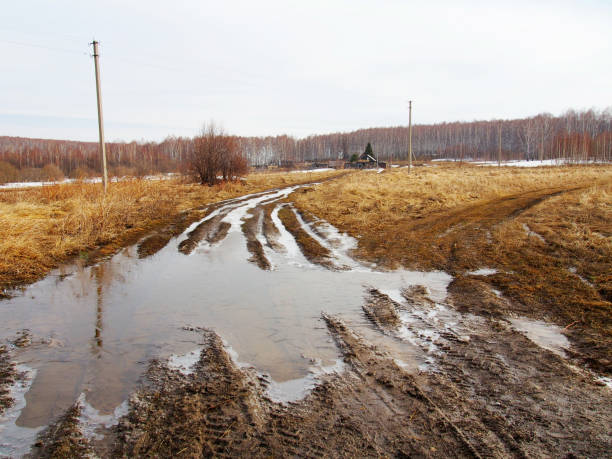 istock Dirt road with a puddle in the village 679764192
