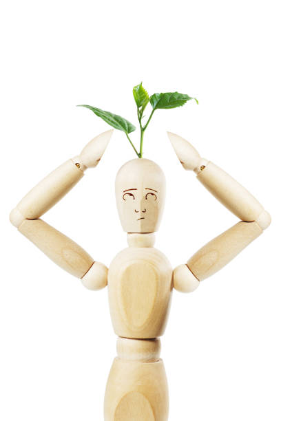 istock Man with growing from his head plant 679764560