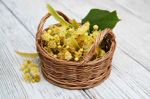 korb mit limetten und blumen - agriculture branch cut flowers citrus fruit stock-fotos und bilder