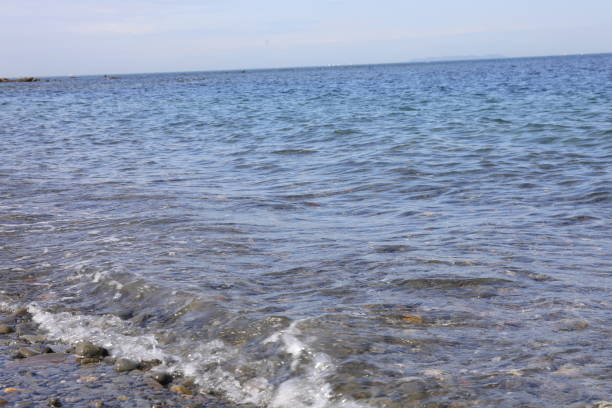 istock Beach of Wakayama 679776572