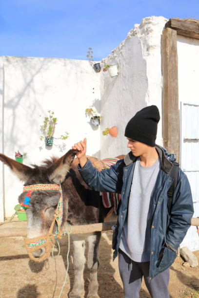 istock Teen stroking a donkey 679776736