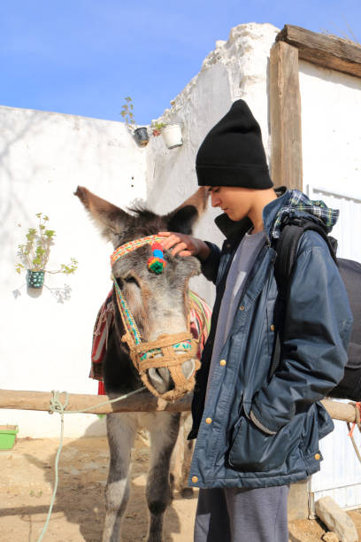 istock Teen stroking a donkey 679776740