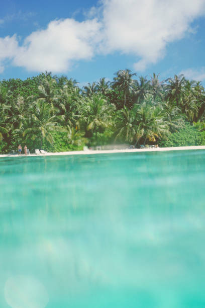 istock Nature on the Maldives 679779172