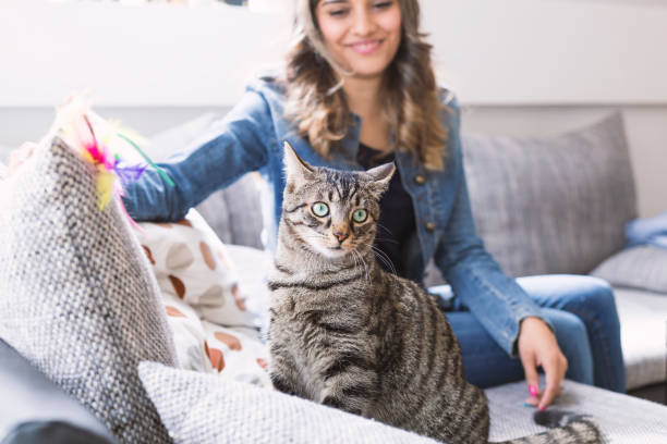 istock Young woman smiling and looking her Cat 679782212