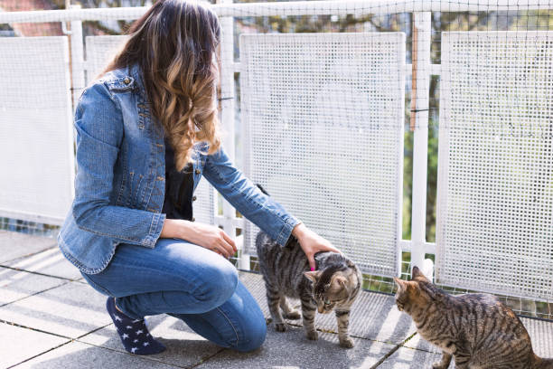 istock young woman playing with her Cats on the balcony 679782320