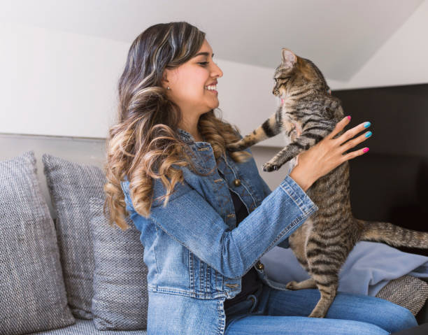istock Young woman playing with her cat 679782352