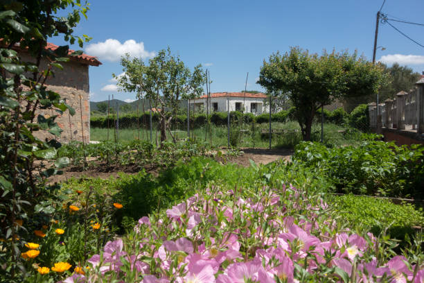 istock Village house in Greece 679784704