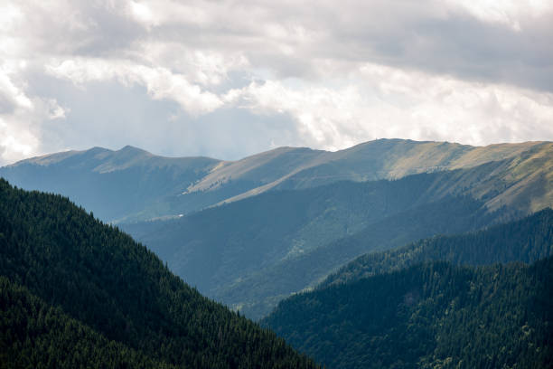 istock carpathian mountains in summer 679792754