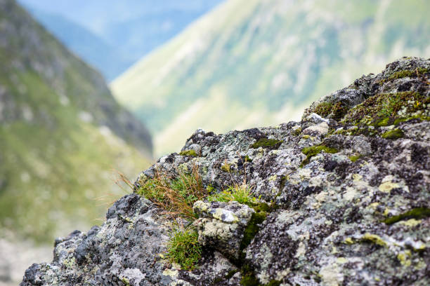 istock Fagaras mountains in Southern Carpathians, Romania 679793222