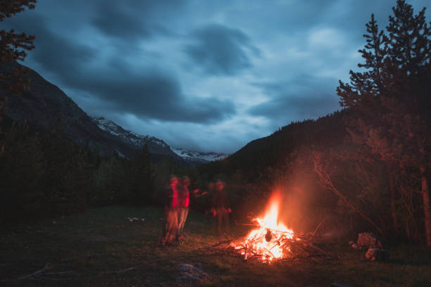 istock Burning camp fire into remote larch and pine tree woodland 679799990