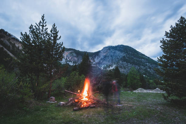 istock Burning camp fire into remote larch and pine tree woodland 679800002