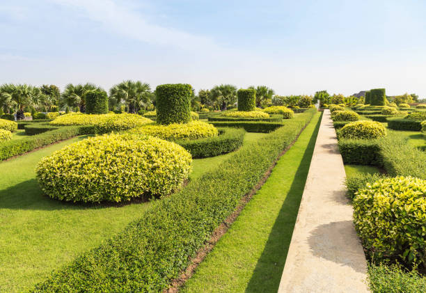 istock shrub trimming ornamental in public green park 679800204