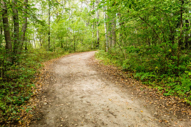 istock tourist trail in woods 679803788