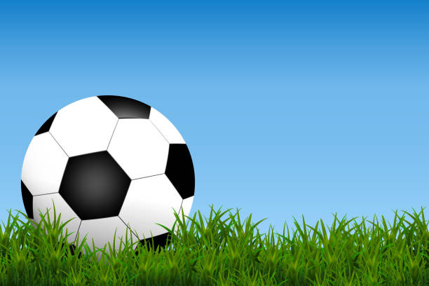 ilustraciones, imágenes clip art, dibujos animados e iconos de stock de fútbol, fútbol bola aislada en anuncio de campo hierba azul fondo con espacio para su texto. - georgia football