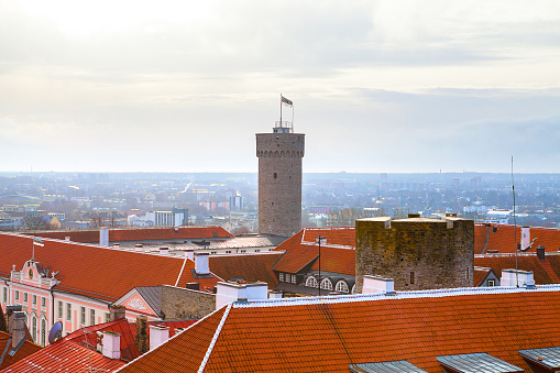 Pikk Herman tower and red roofed castle of medieval town Tallinn, Estonia