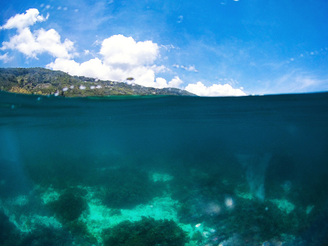 Over-under view of beautiful coastline and scenic coral reef