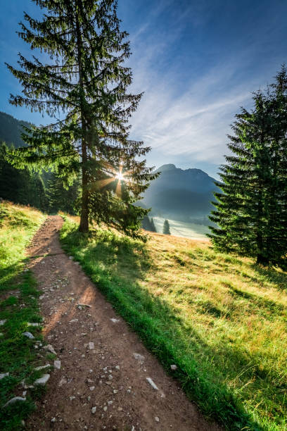istock Wonderful path in Tatra Mountains at dawn, Poland, Europe 679829716