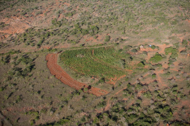 istock Kenya from the air 679832718