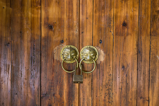 old fashion wooden door and copper Lion head knocker