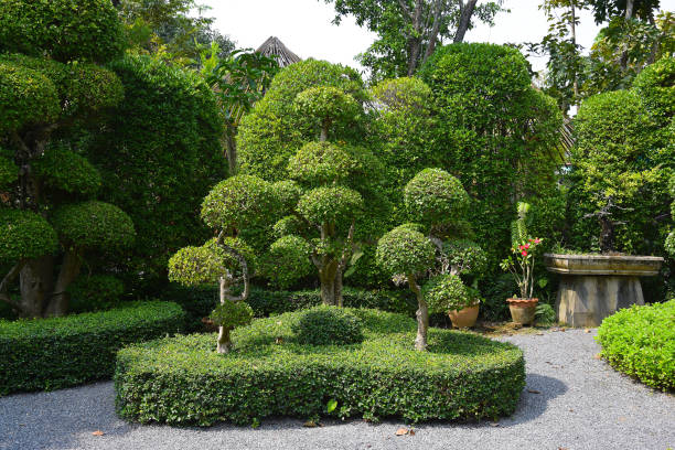 istock Botanical Gardens in South East Asia 679836814