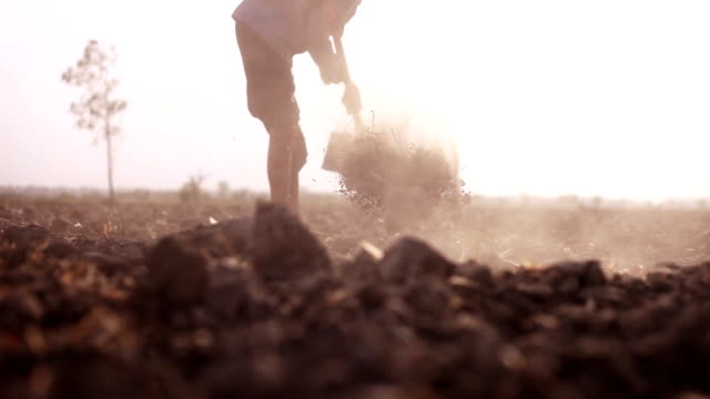 Farmer digging in the field