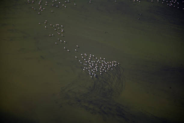 istock Kenya from the air 679842240