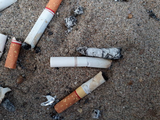 istock Cigarette butt in the pot, smoking. 679867958