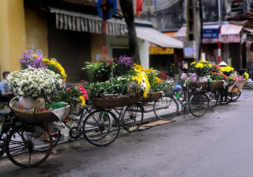 flower market on the street, Hanoi, Vietnam, with the flowers all sold from baskets mounted on bicycles