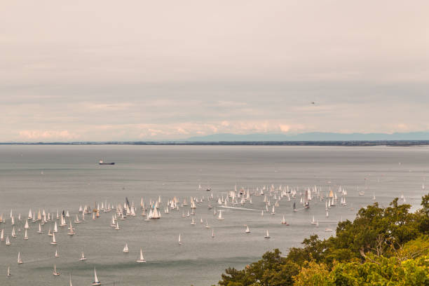 istock Barcolana regatta of Trieste 679889162