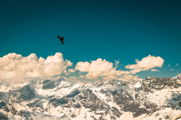 istock sunny day on the ski slopes of Cervinia 679893054