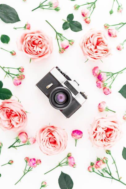 istock Round frame with pink roses and old vintage camera on white background. Flat lay, top view. Floral background. 679894318