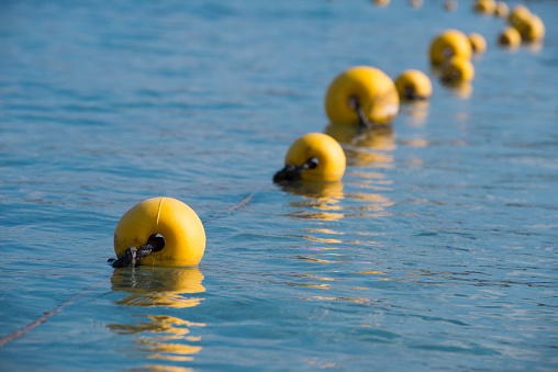 Yellow buoys roped together on public beach.