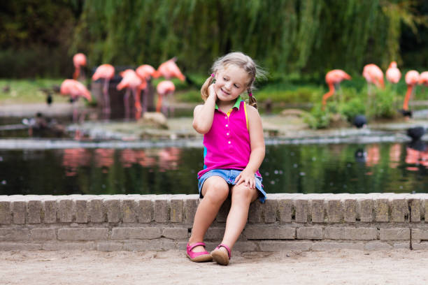 istock Child watching animals and birds at the zoo 679896312