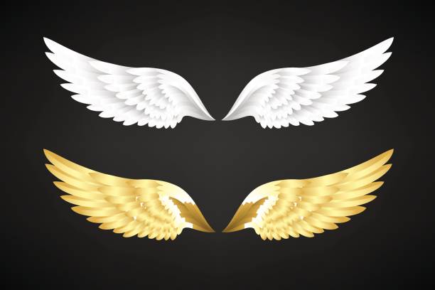 White and gold angel wings Wings collection. White and gold color variants. Vector illustration. costume wing stock illustrations