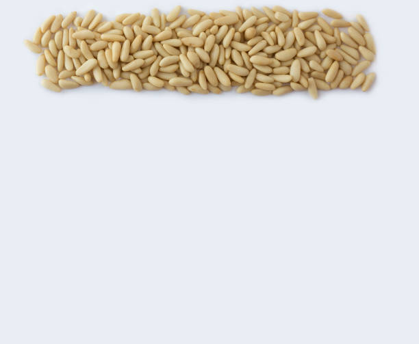 istock Pine nuts at border of image with copy space 679897502