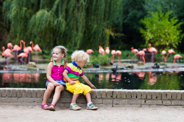istock Children watching animals at the zoo 679904558