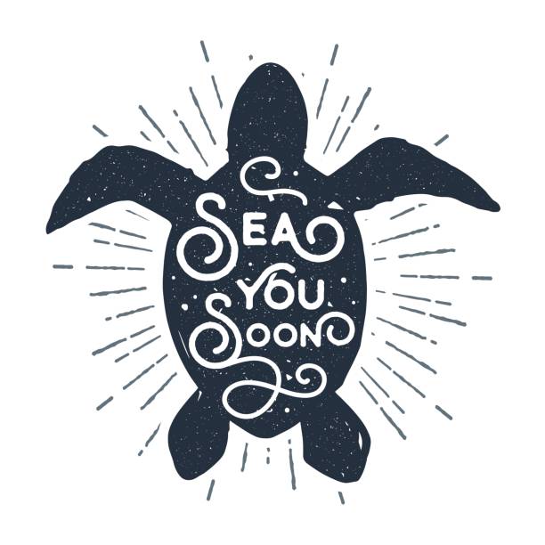 Hand drawn vintage labels with nautical themed vector illustrations. Hand drawn vintage label, retro badge with textured sea turtle vector illustration and "Sea you soon" lettering. sea turtle stock illustrations