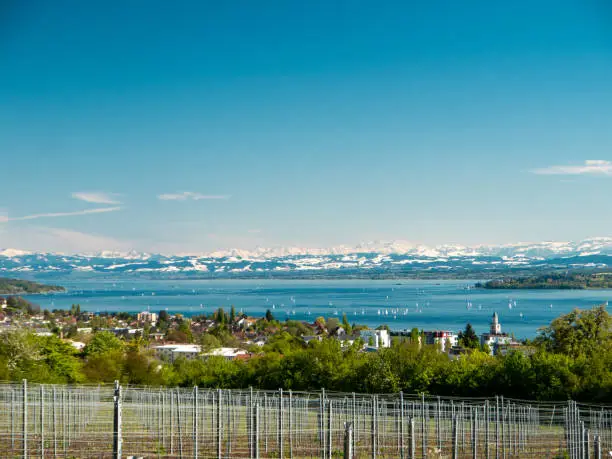 Panoramic view of lake of Lake Constance with Swiss Alps in background