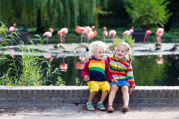 istock Children watching animals at the zoo 679916672