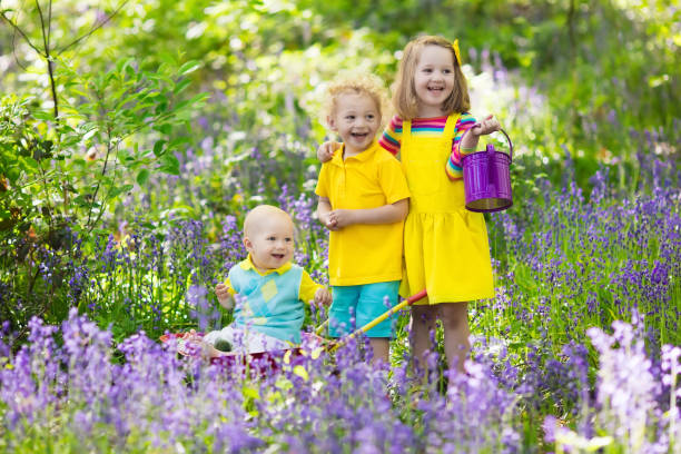 istock Kids in bluebell flower forest in summer 679917276